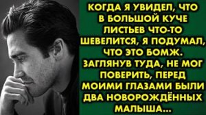 Когда я увидел, что в большой куче листьев что-то шевелится, я подумал, что это бомж. Заглянув туда