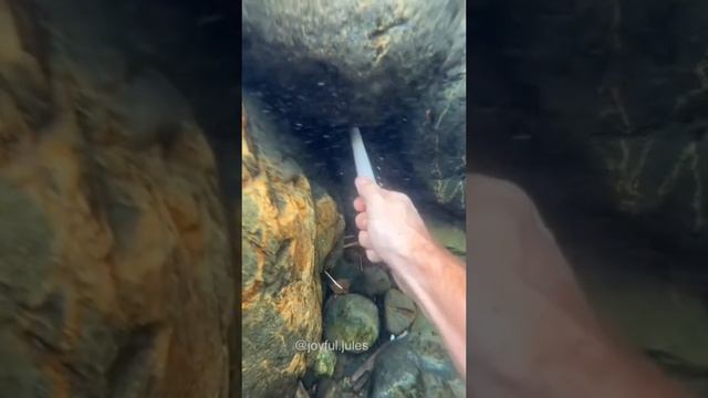 Находки под водой смотреть онлайн