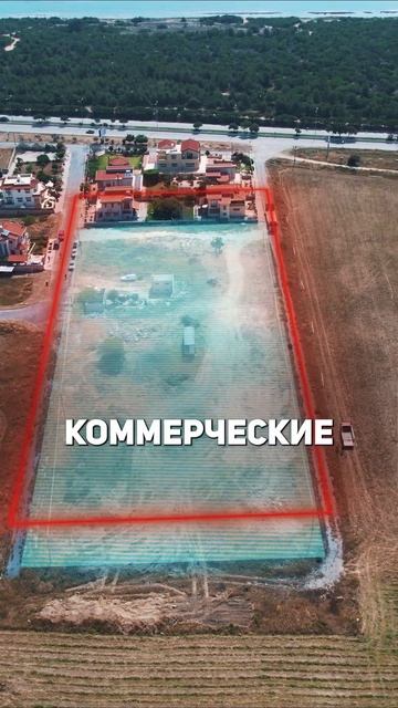 Почему все переезжают в Турцию в 2024? Стоит ли оформлят?