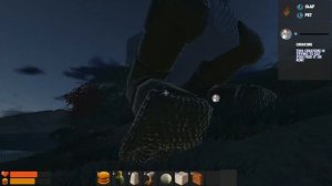 CHKN новые гости