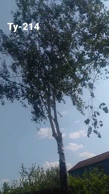 Посадка Ту-214 смотреть онлайн