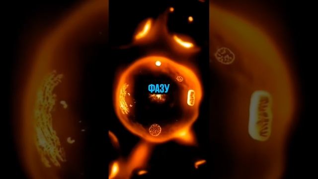 Что будет,  если соблюдать интервальное голодание