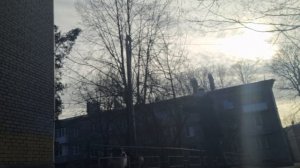 Утренняя трерировка с аусси Рунни.