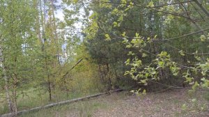 *ОСЕННИЙ ВЕЧЕР* фильмы, ужасы, кино, фильм, смотреть онлайн, лучшие фильмы, новинки кино, зарубежные