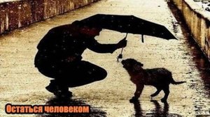 DJ Segen(Илья Киселев) Остаться человеком(рок проект)