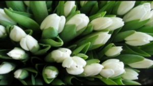 Кумушка с Днём Рождения!!!