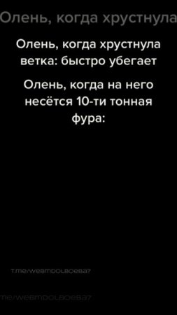 Реакция оленя на фуру