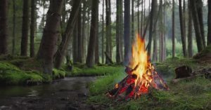 🌲Успокаивающая лесная атмосфера у потрескивающего костра и небольшого ручья.