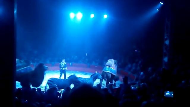 Цирк кобзов... Кировоград смотреть онлайн