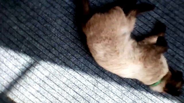 ~Клип~Мой кто любит хип-хоп смотреть онлайн