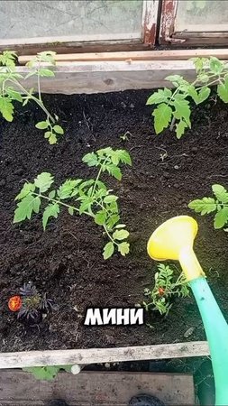 День 3. Коплю 100 тысяч