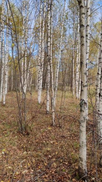 Матушка Земля... смотреть онлайн