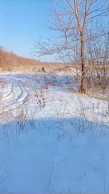 Отзыв от клиента! Приобрел мотобуксировщик SNOW DOG 15 Л.С. смотреть онлайн