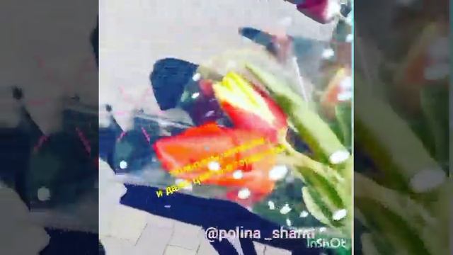 цветы к 8 марта в 🌹Ярмарке🌹2021 Астрахань  #цветы#8март?