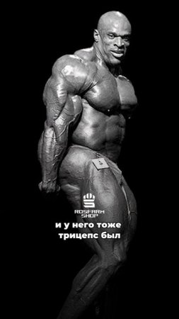 Бодибилдинг
