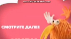 Прямо Сейчас Киви Tiji 2019 РАРИТЕТ