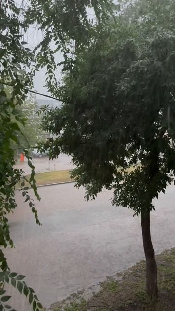 Сильный дождь у нас прошел, вид с дома улицы 60 лет Октя? смотреть онлайн