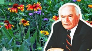 СОСУДЫ Очищаются, а СЕРДЦЕ Будет Работать КАК ЧАСЫ! Ве?