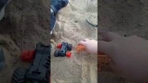 ребёнок ест камни вау