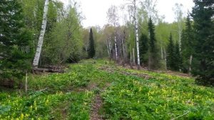 Вот это для мужчин...