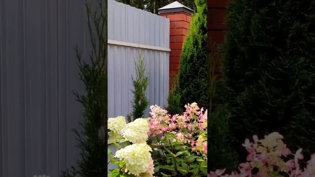 Здравствуйте, друзья! Меня зовут Марина, я выращиваю и смотреть онлайн