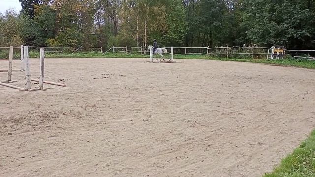 МОИ ШПОРЫ!!!Я НА НИБУСЕ В ШПОРАХ!!!))))