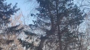 "Сынок, раз твою жену повысили, пусть помогает выплачи?