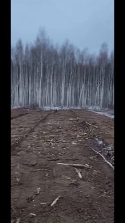 Как залежные земли быстро превращаются в актив.. Ввод ?
