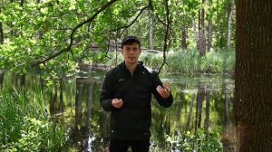 Как сказать по-немецки "Если бы я умел плавать" (в проше