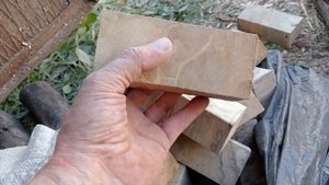 Торцевой шпальт березы.Как точно определить влажност