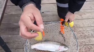 Дневные поимки на Спорт-зоне!