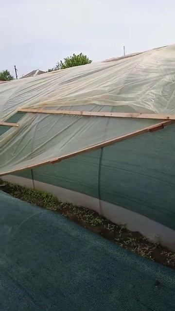 Разнесло крышу на рассаднике для клубники. Ураган в Кр смотреть онлайн