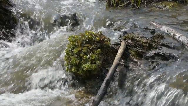 Новососедово. Водопад (10.05.2019г) смотреть онлайн