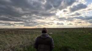 Вторая куропатка Рос Гай-Фрэя