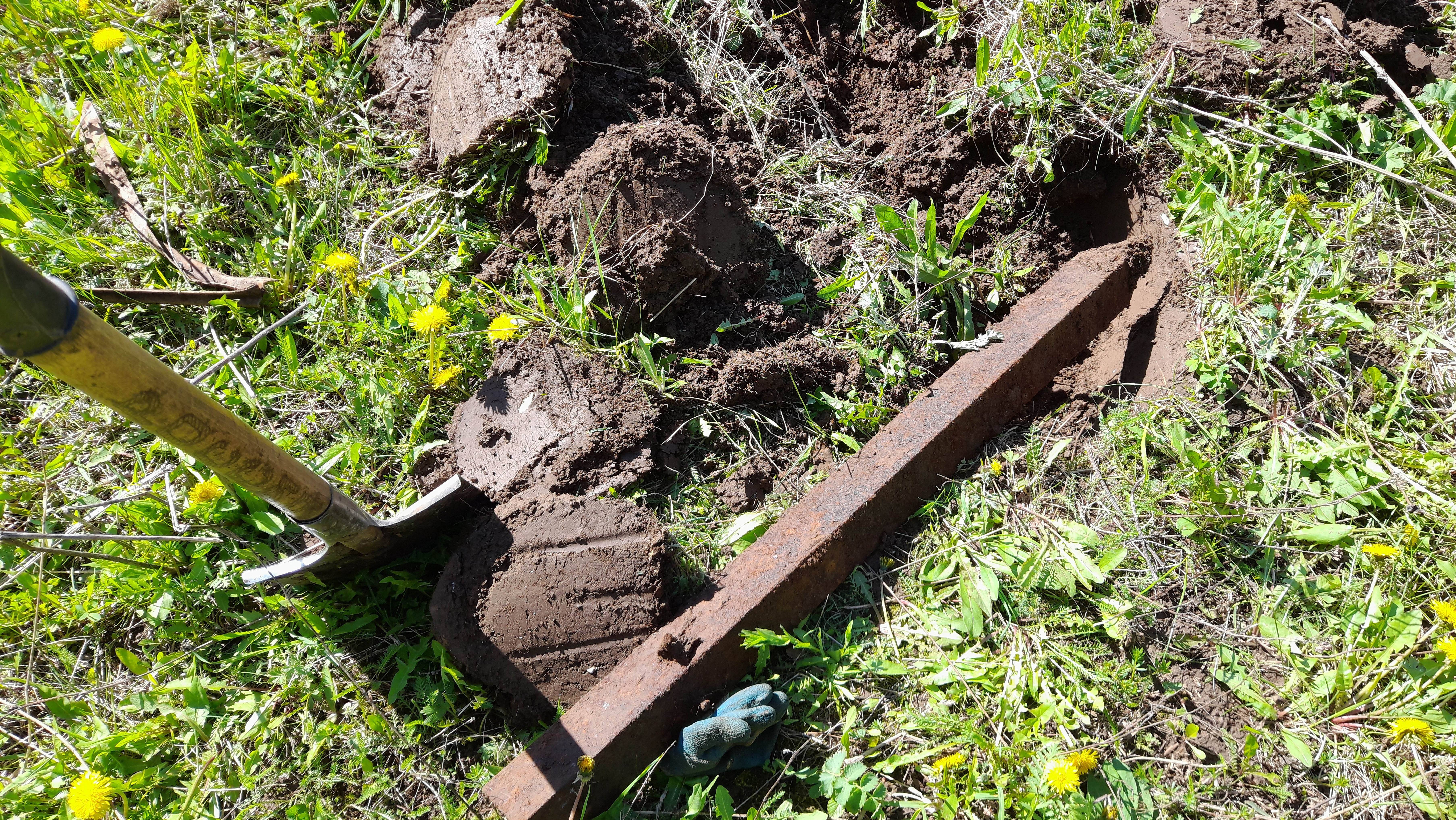 Коп в посадке рядом с полем