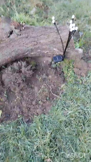 Светильники для сада 👍 #загородныйдом #хорошеенастро смотреть онлайн