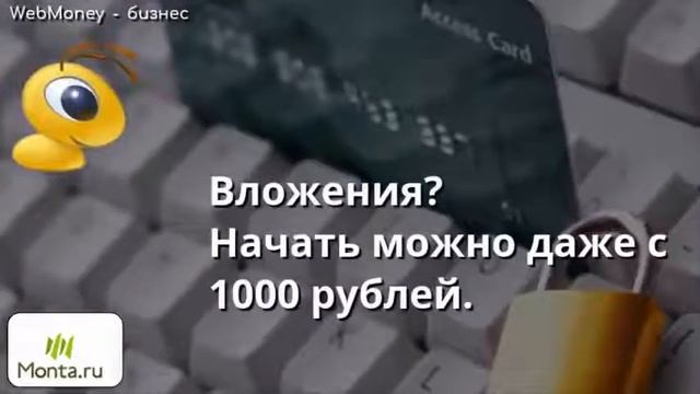 Webmoney бизнес Новая схема бизнеса из дома