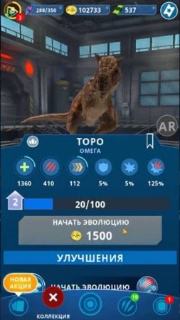 2 уровень торо