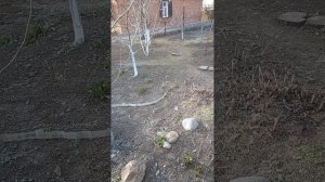 14 марта 2025 года.