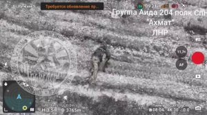 🔴Белогоровка. Кладбище д̶о̶м̶а̶ш̶н̶и̶х̶  диких животных из ВСУ🔴