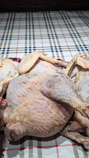 Высадила георгины, раскрыли гряды под картофель. Забиваем несушек.