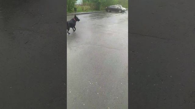 VID-20250511-WA0000.mp4 смотреть онлайн