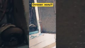 Пропал свет и не работают розетки.