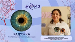 OphthalMONOgy: Радужка анатомия, гистология и функции.