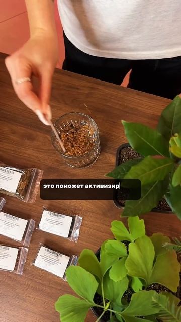 🌱 Что такое стратификация? Разбираемся вместе! 🌱 #short