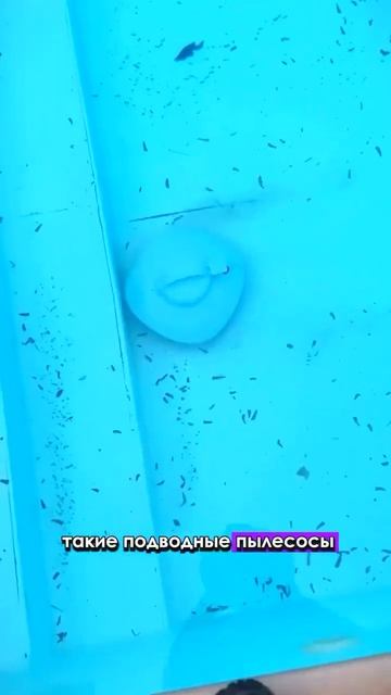 #длядома #находка #обзор #распаковка #топ #вб #вайлдберр смотреть онлайн