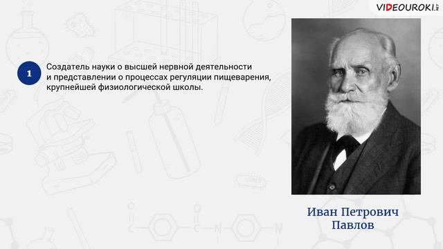 Видеоурок «День российской науки» смотреть онлайн