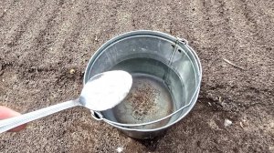 1 Ложку на ведро воды и земля как новая, плодородная! Пролейте этим землю для большого урожая