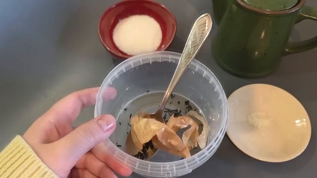 🍓 ВЕСЕННЯЯ ПОДКОРМКА КЛУБНИКИ: Секрет УРОЖАЯ ТОННАМИ с куста! Как вырастить ягоды с ЛАДОНЬ