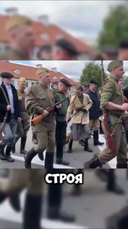 Коза все испортила #белоруссия #коза #животные #shortvideo #shorts #юмор #мем #9мая #победа